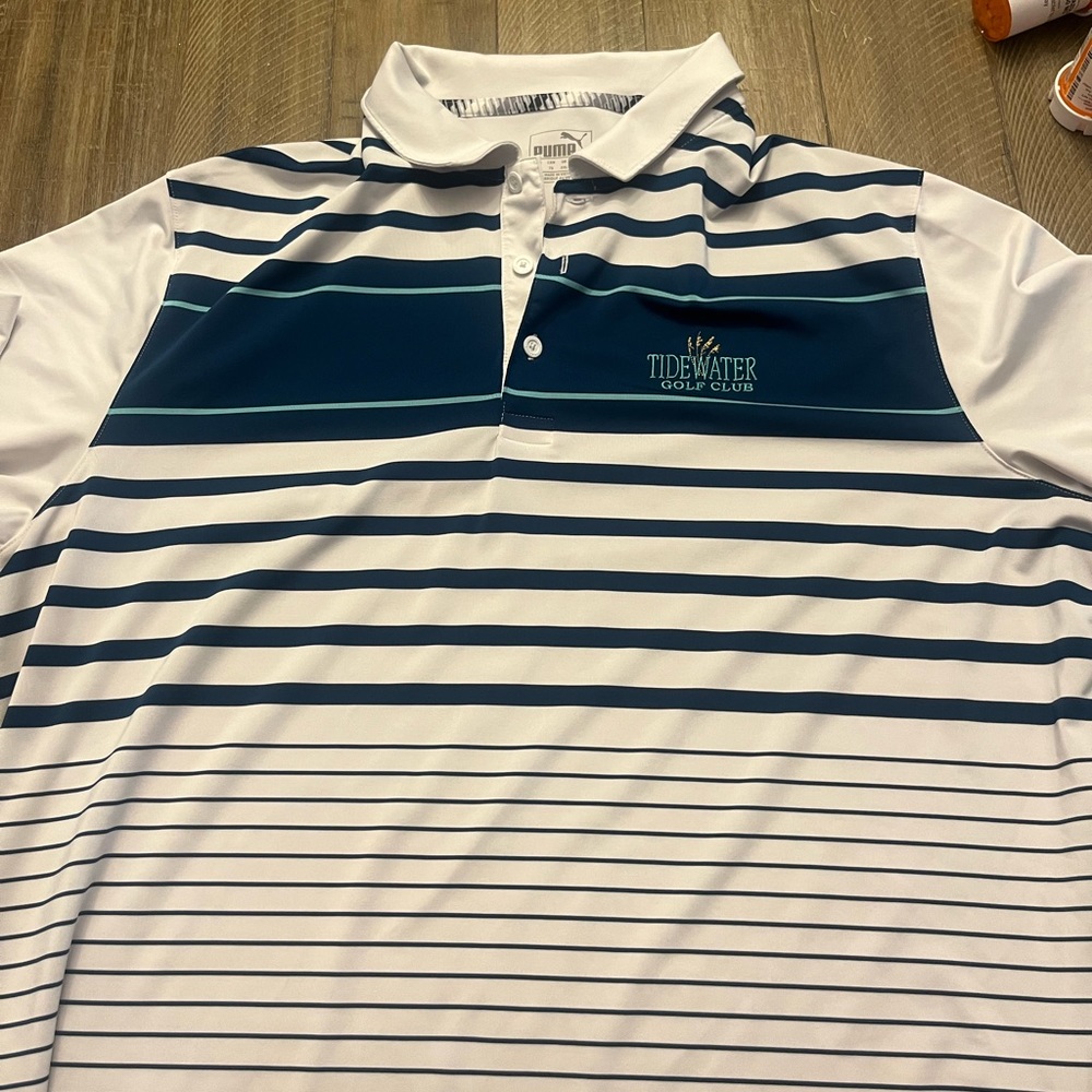 Polo puma
